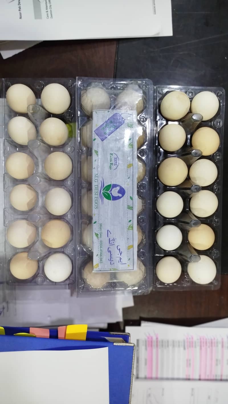 MG  FERTILE,FRESH,ORGANIC DESI EGGS550 3