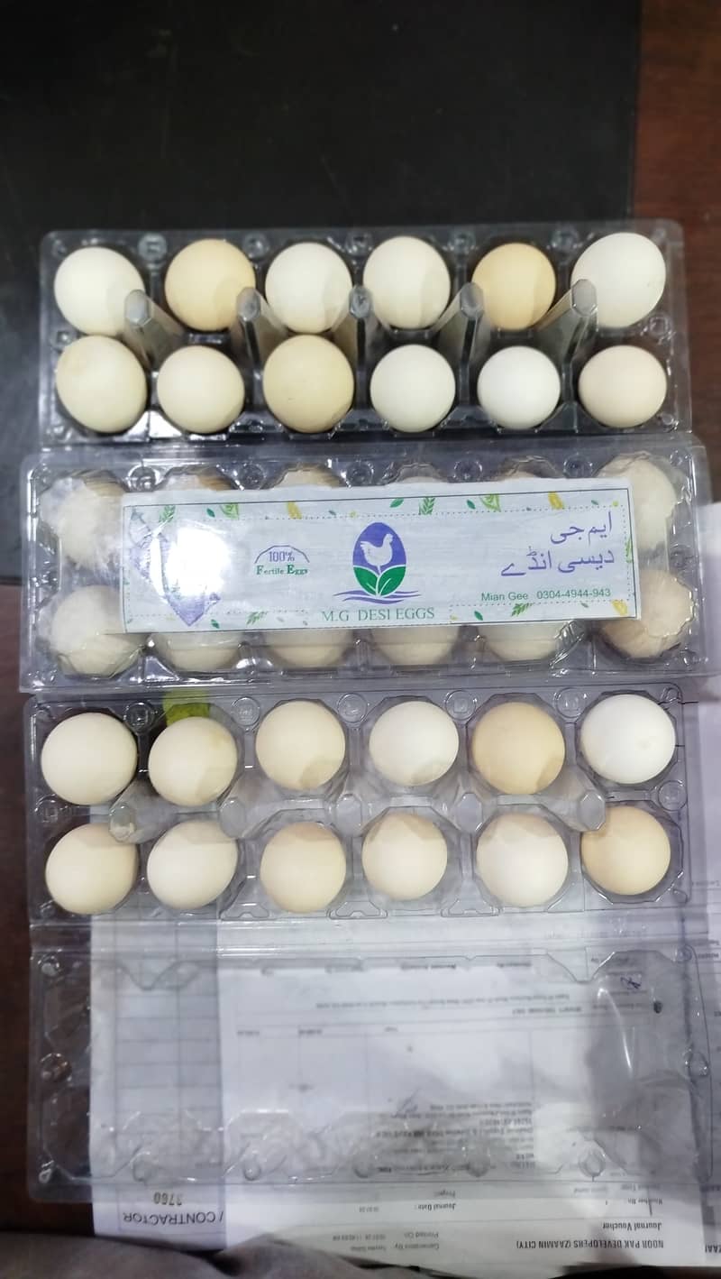 MG  FERTILE,FRESH,ORGANIC DESI EGGS550 4