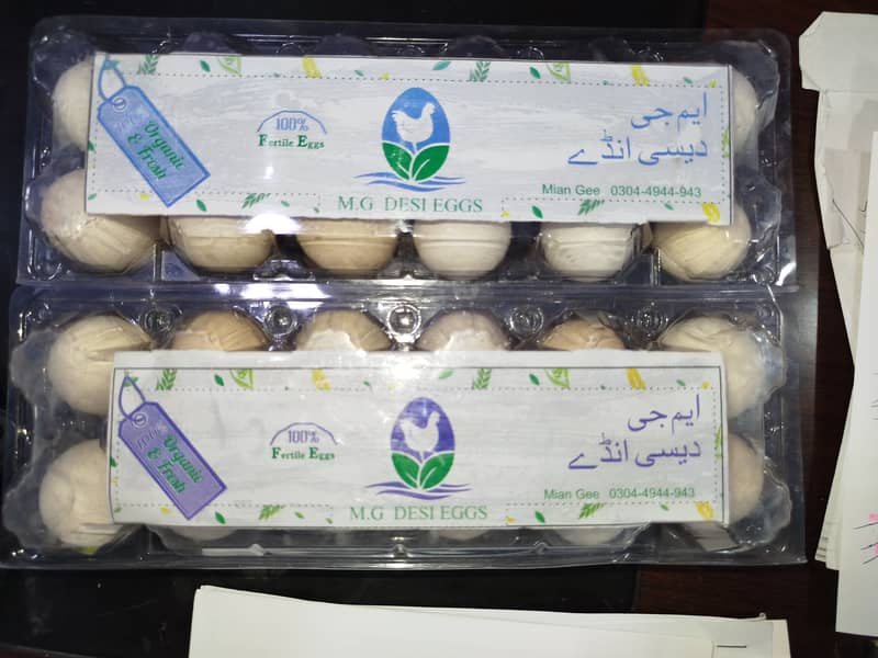 MG  FERTILE,FRESH,ORGANIC DESI EGGS550 5