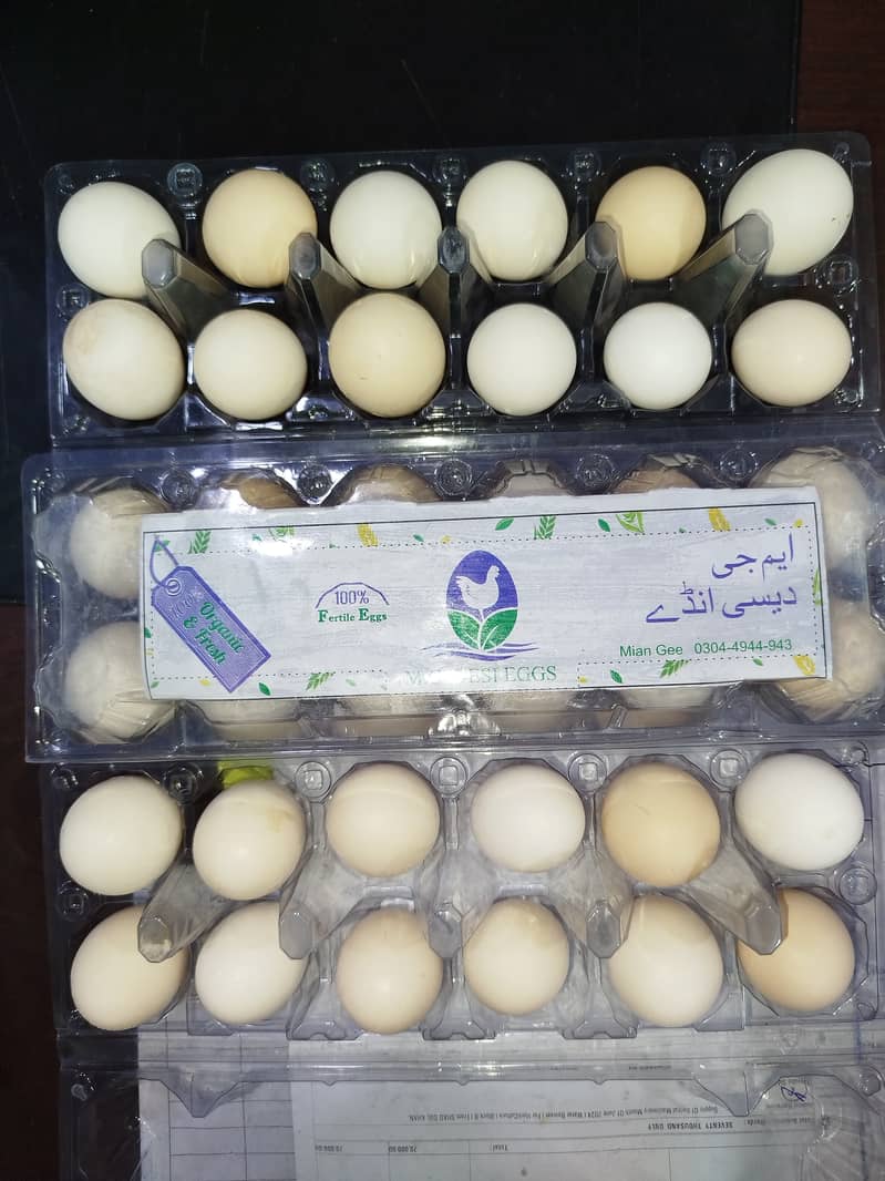 MG  FERTILE,FRESH,ORGANIC DESI EGGS550 8