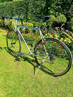 Titanium Bridgestone Road bicycle 0