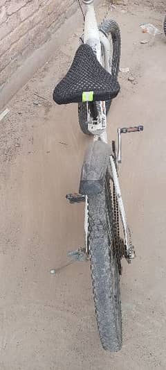 bicycle All ok