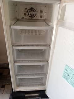 Freezer medium size