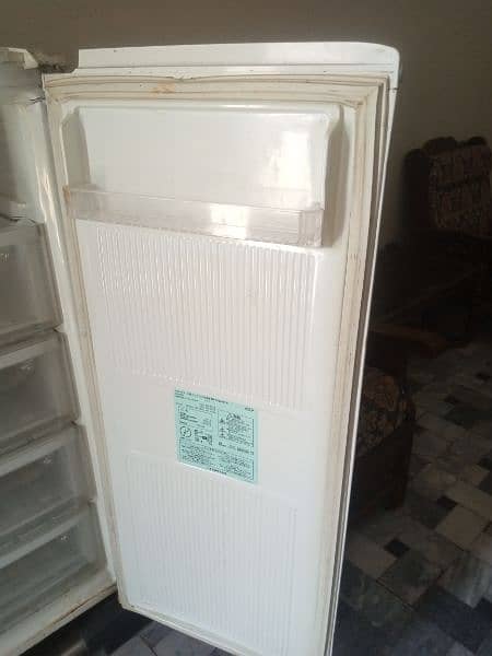 Freezer medium size 2