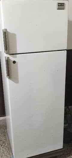 Italy Fridge Full Size for Sale