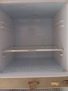 waves compny medium size fridge 0