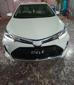 Altis grande 2020 modle