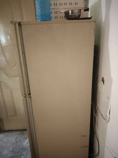 Pell fridge 2 door