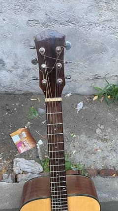 Guitar Fender semi Acoustic