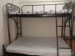 Iron bunker bed