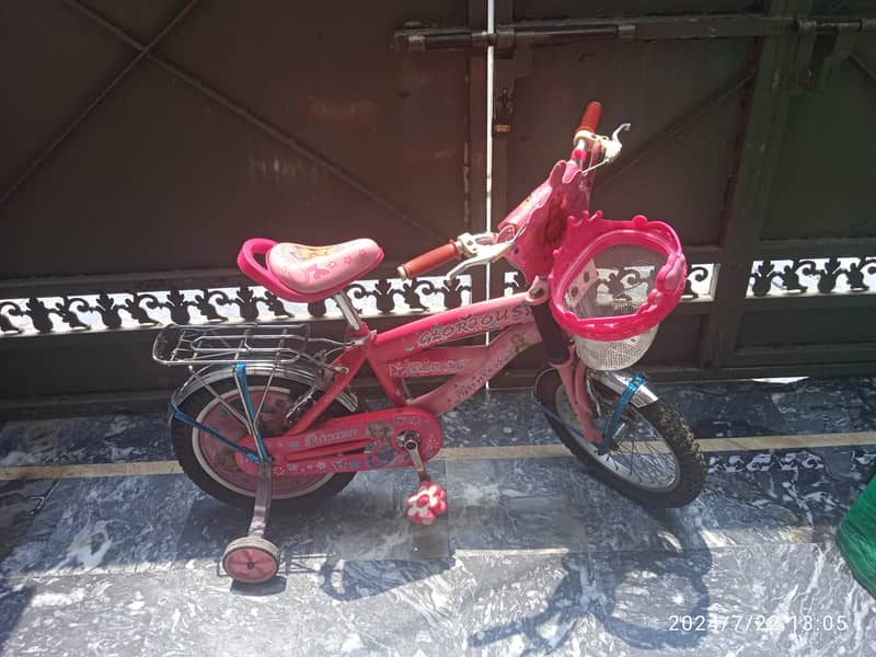 Slightly used bicycle for girls 0