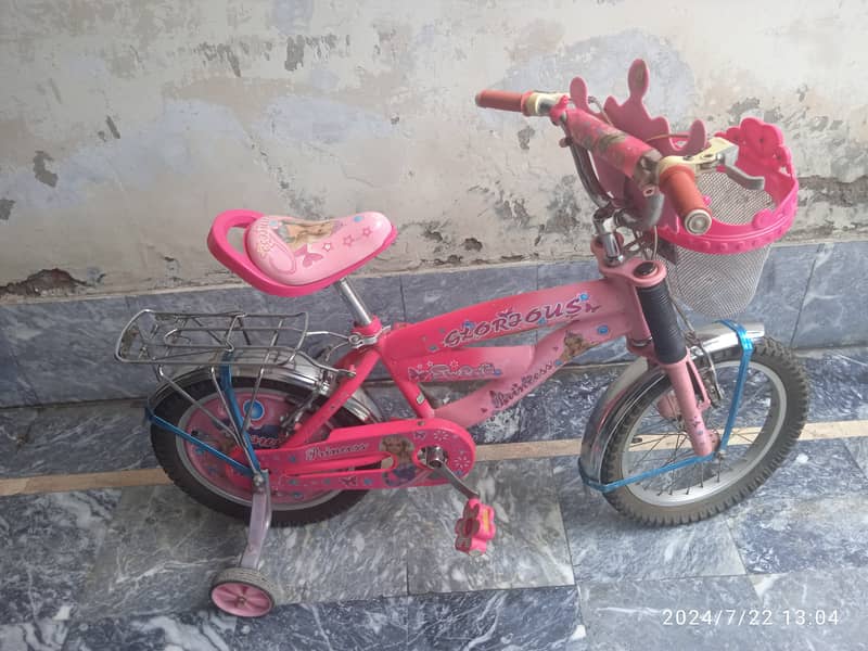 Slightly used bicycle for girls 2