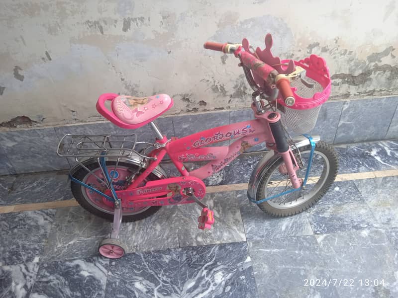 Slightly used bicycle for girls 3