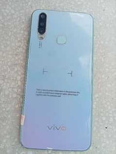 vivo