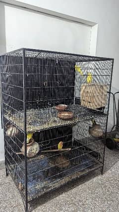 parrot cage