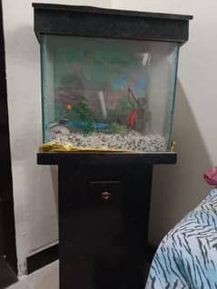 Fish Aquarium with stand 0301-5993505