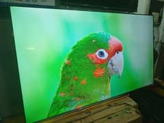 55,, inch new model led tv smart 03020482663