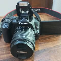 DSLR Canon EOS 250D