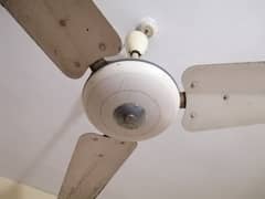 Royal Deluxe Ceiling Fan