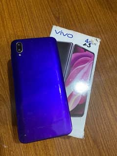 Vivo