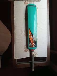 cricket bat with good condition