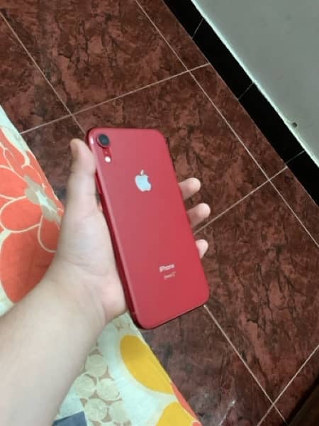 iPhone  XR 1