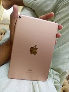 ipad mini 5