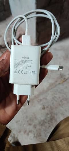 vivo