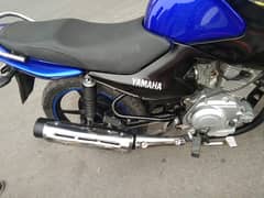 yamaha