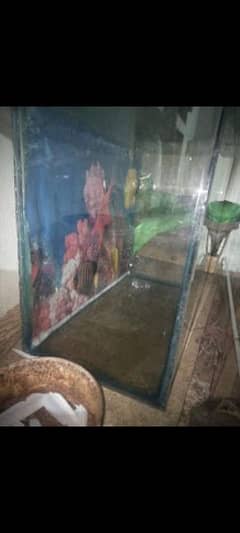 fish aquarium fir sale 10inch chorai lmbai 18 hight18