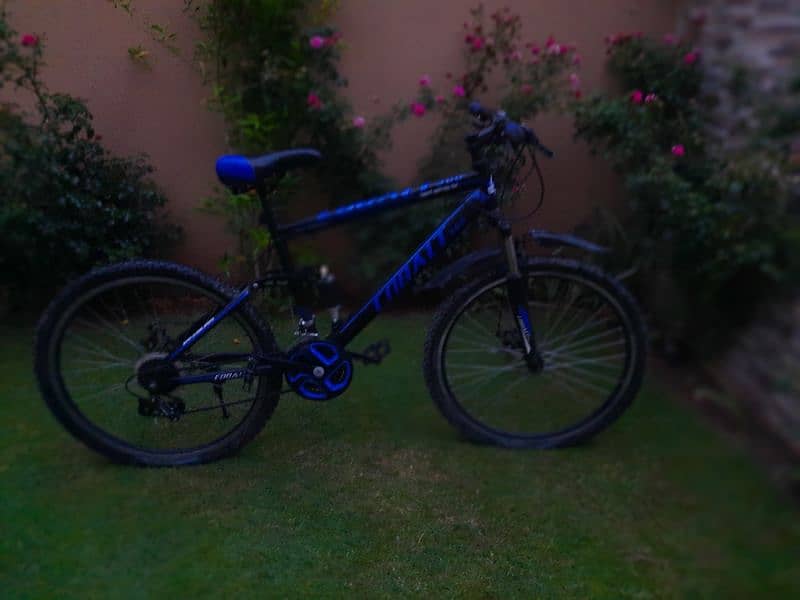 cobalt  bicycle. 3