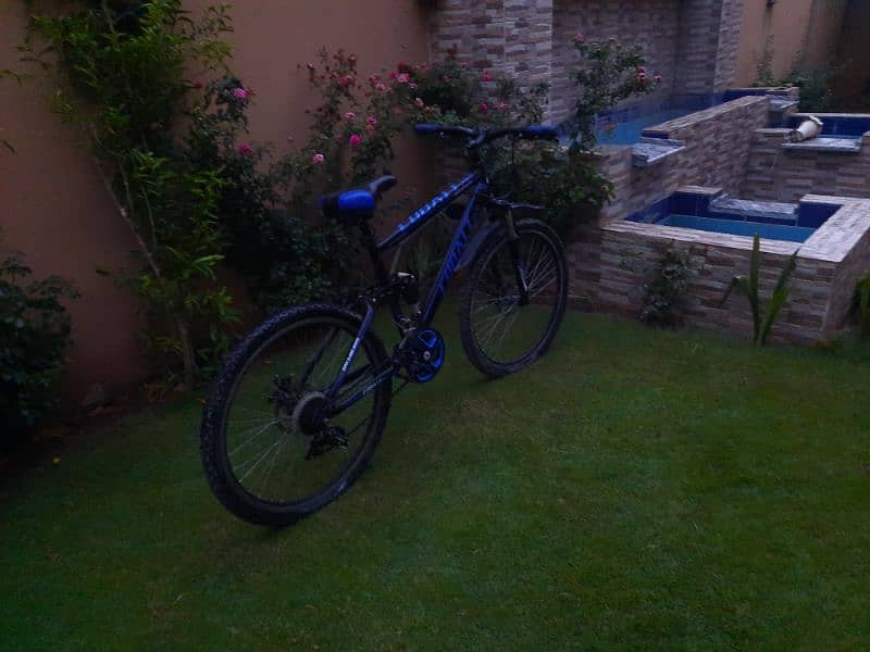 cobalt  bicycle. 4