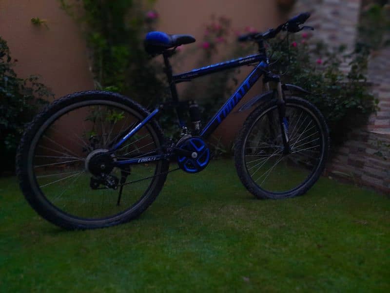 cobalt  bicycle. 6