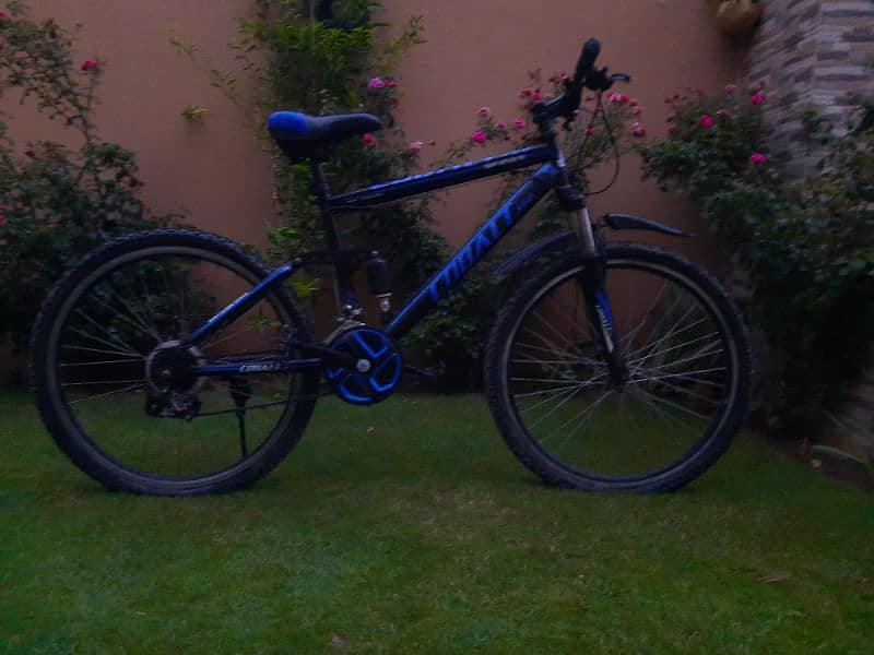 cobalt  bicycle. 10