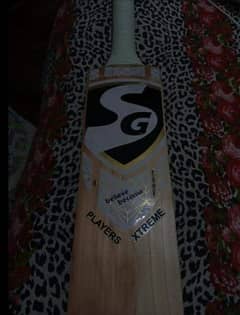 AS V10 BAT CONVERTED TO SG SAVAGE EXTREME PLAYERS - IMRAN KHAN'S BAT