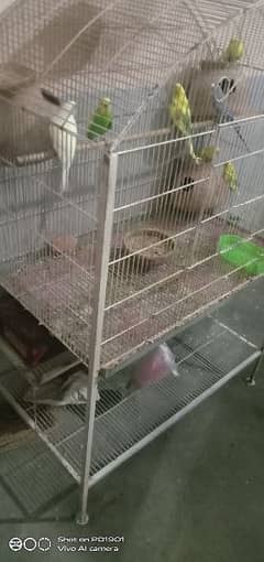 used but see it an new cage