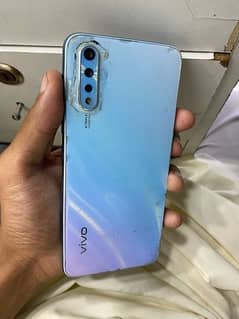 vivo