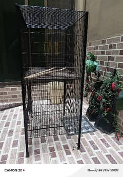 Australian parrots 2 portion cage