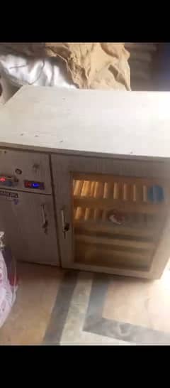 Automatic incubator, 250 eggs