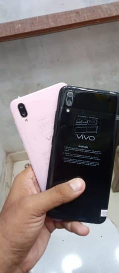 vivo