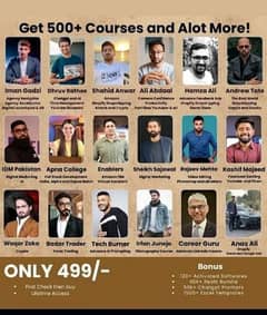 350 + course,shopify course