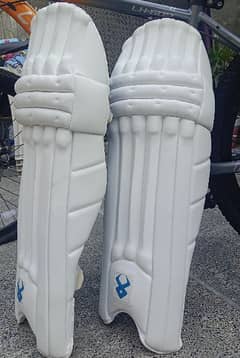 branded fireox arctic  cricket pads.