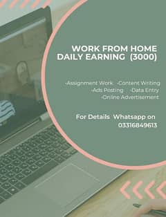 work from home, assignment work, content writing ,add posting,