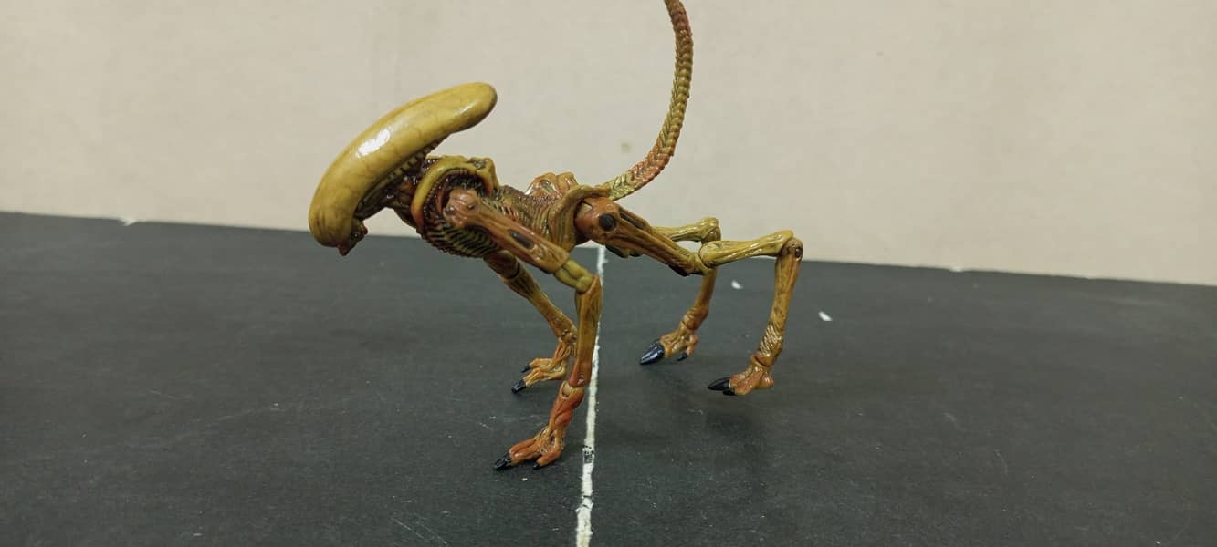 Neca Predator and Neca Alien 3 Action figures 13