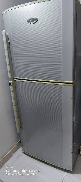 haier Refrigerator 4