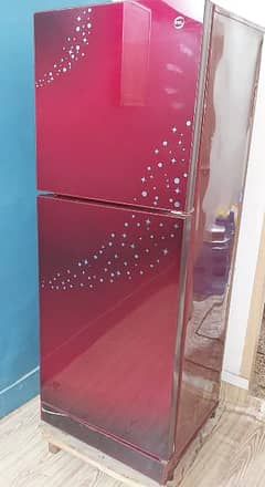 PEL Glass door fridge