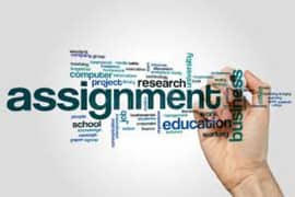 I am 2 years experience for online assignment work