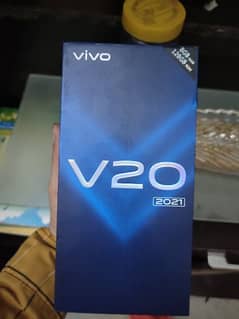 vivo