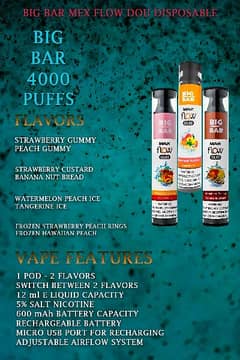 POD /Vape Big Bar Max Flow Duo 4000 PUFFS // 2(TWO) Flavors In One POD