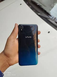 vivo